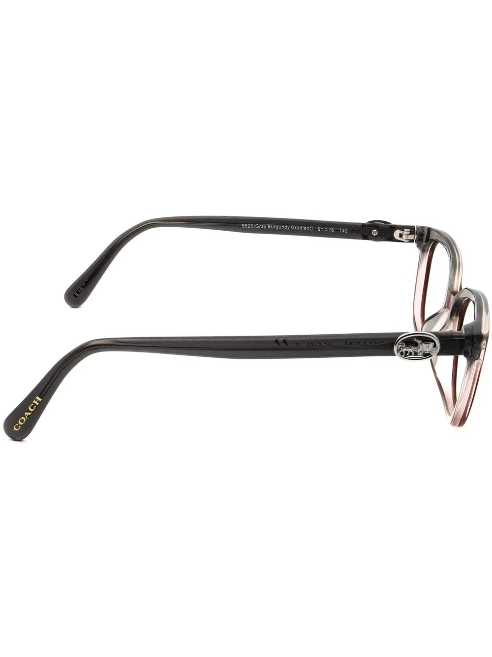 Coach HC 6156 5620 Eyewear